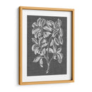 Follaje Gráfico I - Vision Studio | Cuadro decorativo de Canvas Lab