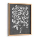 Follaje Gráfico I - Vision Studio | Cuadro decorativo de Canvas Lab
