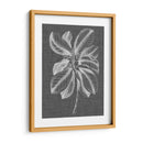 Follaje Gráfico Ii - Vision Studio | Cuadro decorativo de Canvas Lab