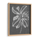 Follaje Gráfico Ii - Vision Studio | Cuadro decorativo de Canvas Lab