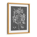 Follaje Gráfico Vi - Vision Studio | Cuadro decorativo de Canvas Lab