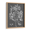 Follaje Gráfico Vi - Vision Studio | Cuadro decorativo de Canvas Lab