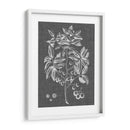 Follaje Gráfico Vi - Vision Studio | Cuadro decorativo de Canvas Lab