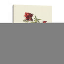 Flores Para Junio Ii - Giovanni Baptiste | Cuadro decorativo de Canvas Lab