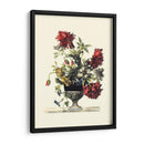 Flores Para Junio Ii - Giovanni Baptiste | Cuadro decorativo de Canvas Lab