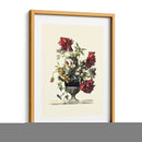 Flores Para Junio Ii - Giovanni Baptiste | Cuadro decorativo de Canvas Lab