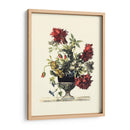 Flores Para Junio Ii - Giovanni Baptiste | Cuadro decorativo de Canvas Lab