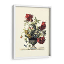 Flores Para Junio Ii - Giovanni Baptiste | Cuadro decorativo de Canvas Lab