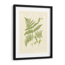 Helechos Con Platemarca I - Vision Studio | Cuadro decorativo de Canvas Lab