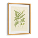 Helechos Con Platemarca I - Vision Studio | Cuadro decorativo de Canvas Lab