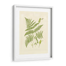 Helechos Con Platemarca I - Vision Studio | Cuadro decorativo de Canvas Lab