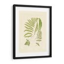 Helechos Con Platemark Ii - Vision Studio | Cuadro decorativo de Canvas Lab