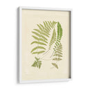 Helechos Con Platemark Ii - Vision Studio | Cuadro decorativo de Canvas Lab