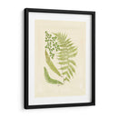 Helechos Con Platemark Iii - Vision Studio | Cuadro decorativo de Canvas Lab