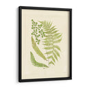 Helechos Con Platemark Iii - Vision Studio | Cuadro decorativo de Canvas Lab