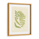 Helechos Con Platemark Iii - Vision Studio | Cuadro decorativo de Canvas Lab