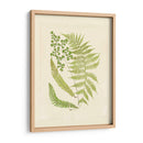 Helechos Con Platemark Iii - Vision Studio | Cuadro decorativo de Canvas Lab