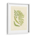 Helechos Con Platemark Iii - Vision Studio | Cuadro decorativo de Canvas Lab