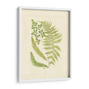 Helechos Con Platemark Iii - Vision Studio | Cuadro decorativo de Canvas Lab