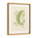 Helechos Con Platemark Iv - Vision Studio | Cuadro decorativo de Canvas Lab