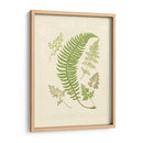Helechos Con Platemark Iv - Vision Studio | Cuadro decorativo de Canvas Lab