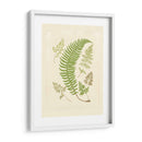 Helechos Con Platemark Iv - Vision Studio | Cuadro decorativo de Canvas Lab