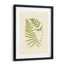 Helechos Con Platemark V - Vision Studio | Cuadro decorativo de Canvas Lab