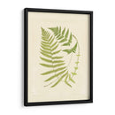 Helechos Con Platemark V - Vision Studio | Cuadro decorativo de Canvas Lab