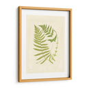 Helechos Con Platemark V - Vision Studio | Cuadro decorativo de Canvas Lab