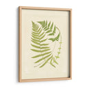 Helechos Con Platemark V - Vision Studio | Cuadro decorativo de Canvas Lab