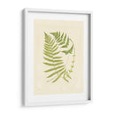 Helechos Con Platemark V - Vision Studio | Cuadro decorativo de Canvas Lab