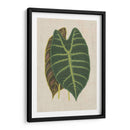 Hojas En La Ropa Iii | Cuadro decorativo de Canvas Lab