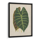 Hojas En La Ropa Iii | Cuadro decorativo de Canvas Lab