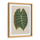 Hojas En La Ropa Iii | Cuadro decorativo de Canvas Lab