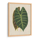 Hojas En La Ropa Iii | Cuadro decorativo de Canvas Lab