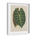 Hojas En La Ropa Iii | Cuadro decorativo de Canvas Lab