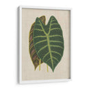 Hojas En La Ropa Iii | Cuadro decorativo de Canvas Lab