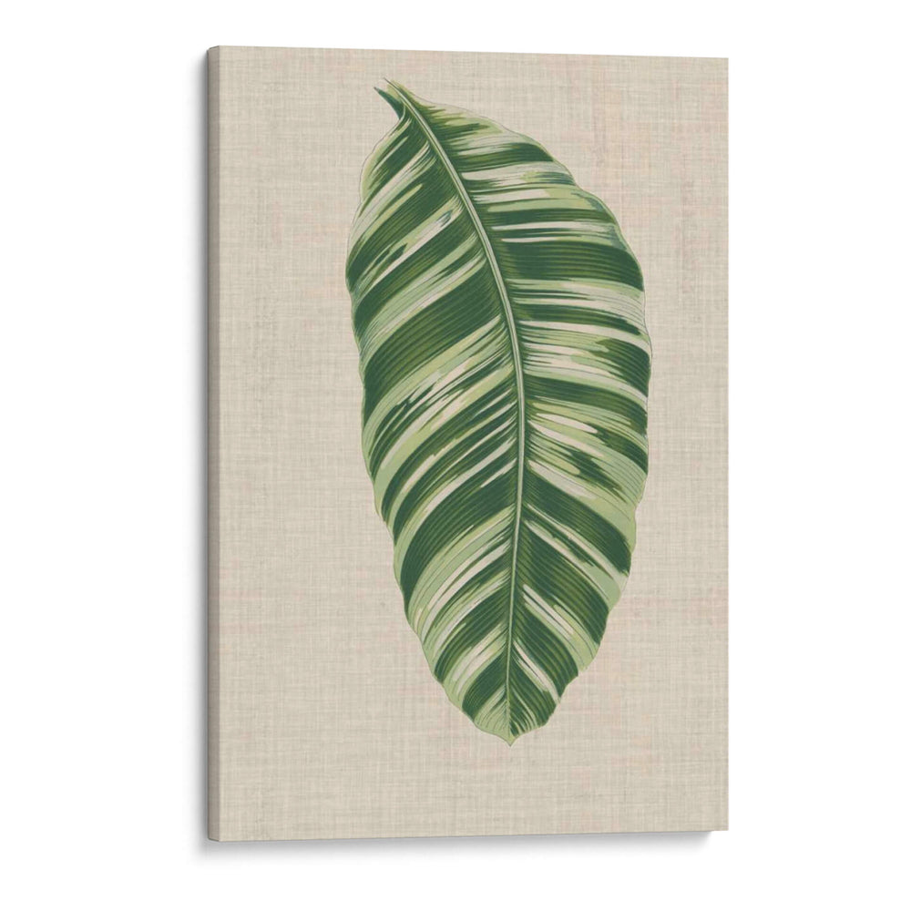 Hojas En Lino Vi | Cuadro decorativo de Canvas Lab