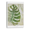 Frond Iii - Chariklia Zarris | Cuadro decorativo de Canvas Lab