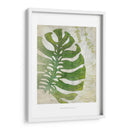 Frond Iii - Chariklia Zarris | Cuadro decorativo de Canvas Lab