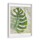Frond Iii - Chariklia Zarris | Cuadro decorativo de Canvas Lab