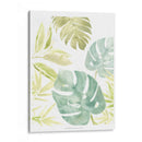 Isla Medley Iii - June Erica Vess | Cuadro decorativo de Canvas Lab