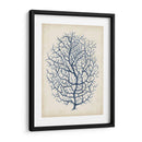 Índigo Coral I - Vision Studio | Cuadro decorativo de Canvas Lab