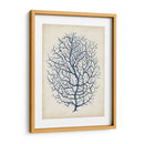 Índigo Coral I - Vision Studio | Cuadro decorativo de Canvas Lab