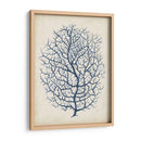 Índigo Coral I - Vision Studio | Cuadro decorativo de Canvas Lab