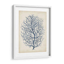Índigo Coral I - Vision Studio | Cuadro decorativo de Canvas Lab