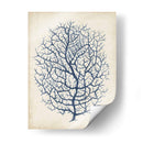 Índigo Coral I - Vision Studio | Cuadro decorativo de Canvas Lab