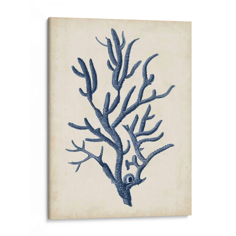Indigo Coral Iv - Vision Studio | Cuadro decorativo de Canvas Lab
