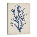 Indigo Coral Iv - Vision Studio | Cuadro decorativo de Canvas Lab