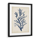 Indigo Coral Iv - Vision Studio | Cuadro decorativo de Canvas Lab